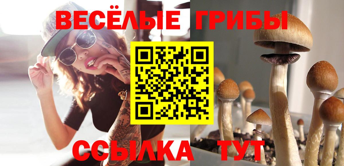 Сургут  продажа наркотиков  Вход с VPN  Галлюциногенные грибы Psilocybine cubensis 
