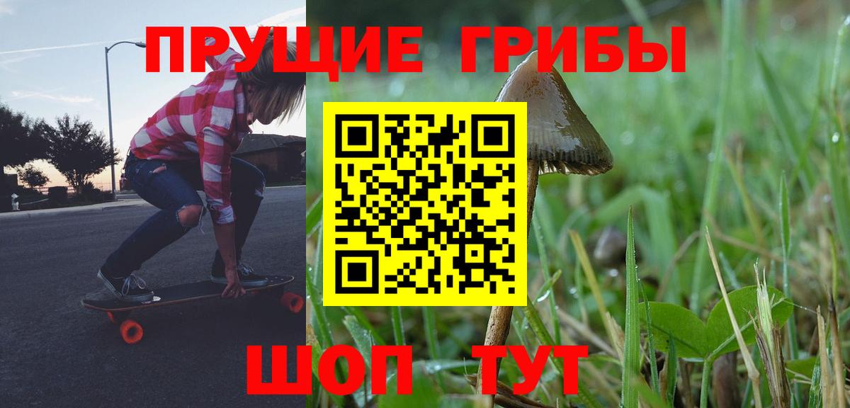Псилоцибиновые грибы ЛСД Сургут